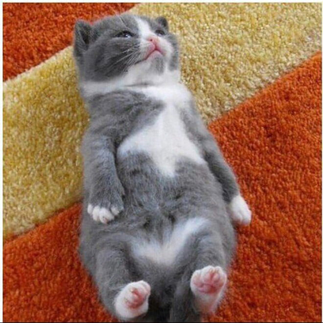 Александр Колесников