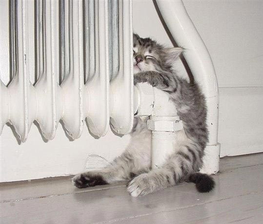 Татьяна Стандур