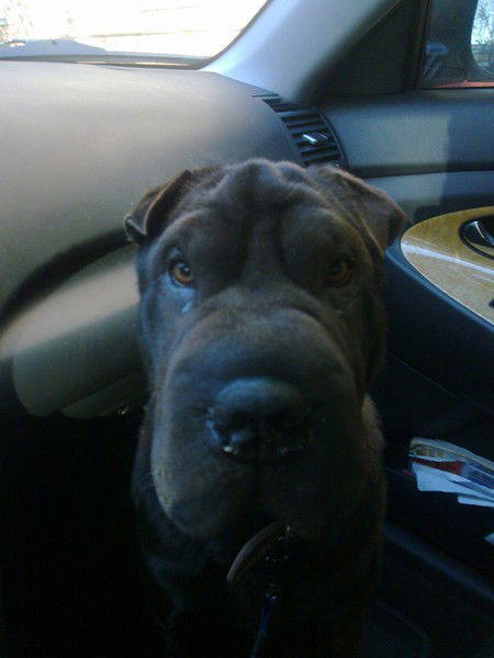 Владимир Яковлев