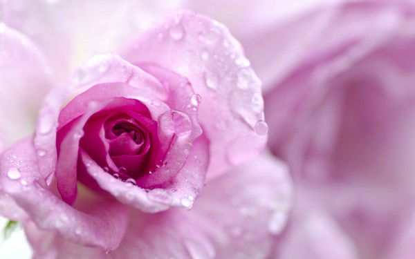 Татьяна Булаткина