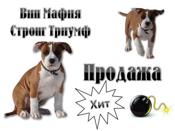 Евгения Чекменева