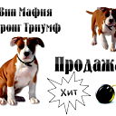 Евгения Чекменева