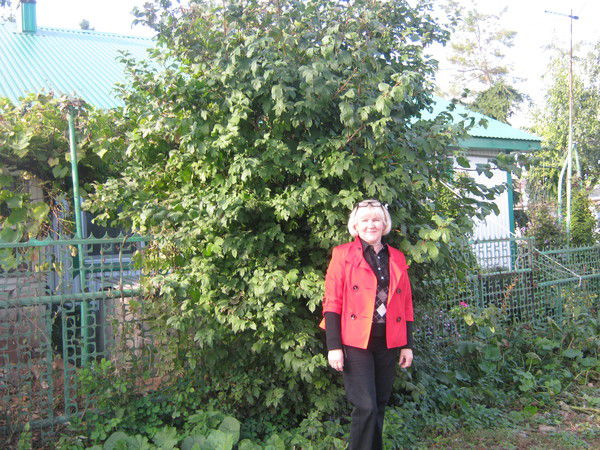 Татьяна Тимонина