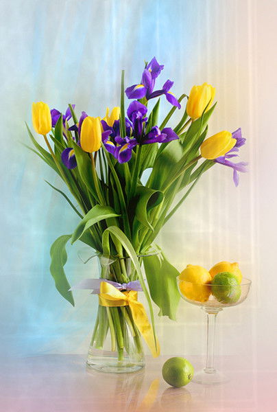 Светлана Гамалина