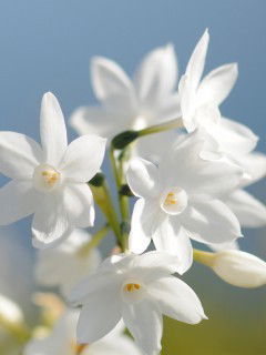 Старопетровский Сельсовет