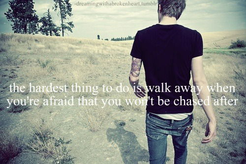 Дую Радугу D