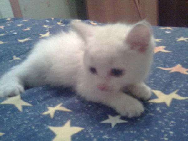 Виктория Мардабаева