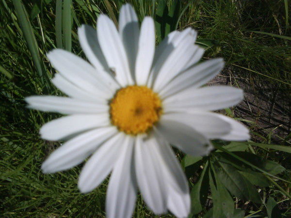 Владимир Найбороденко