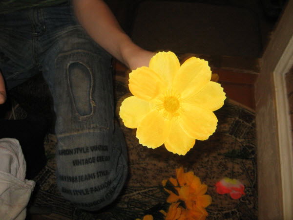 Лаура Лаура