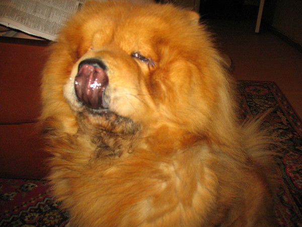 Александр Мерзляков