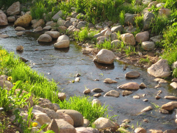 Татьяна Наумова