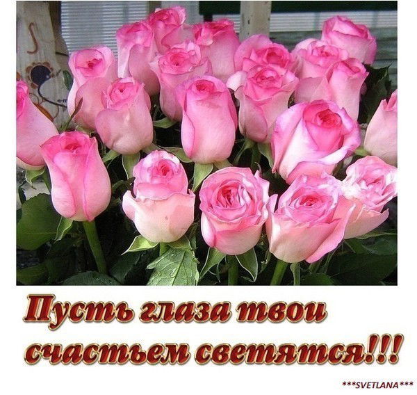 Венера Мансурова