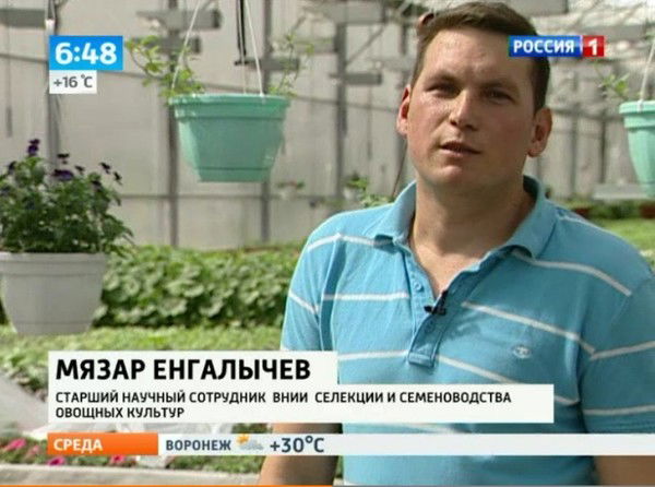 Мязар Енгалычев