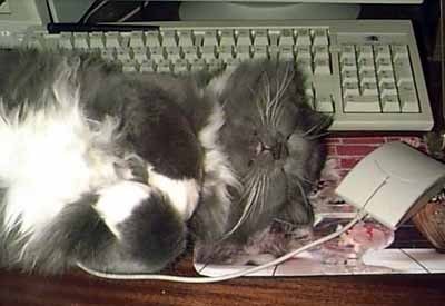 Натаха Иванченкова