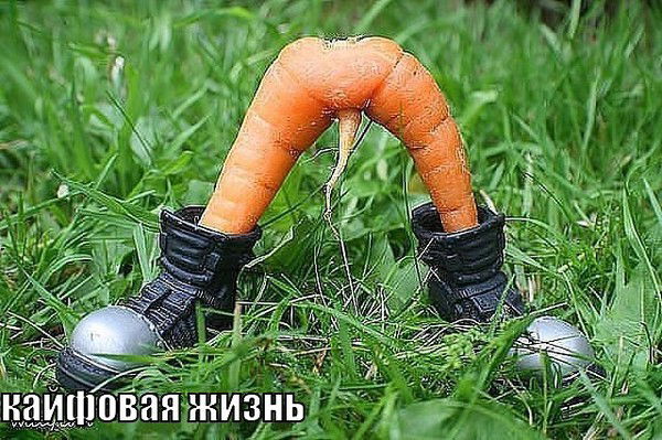 Леомид Гуцу