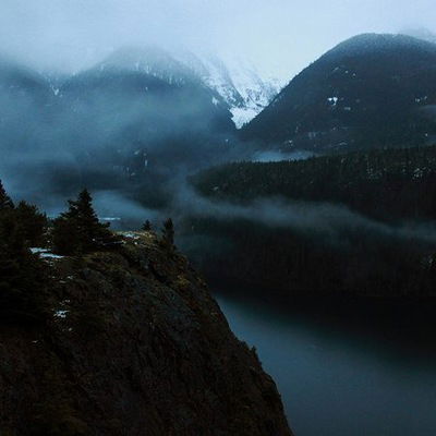 Александра Дячук