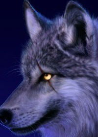 Владислав Деркач