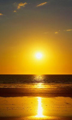 Людмила Макарова