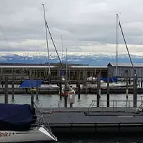 Светлана Светлана