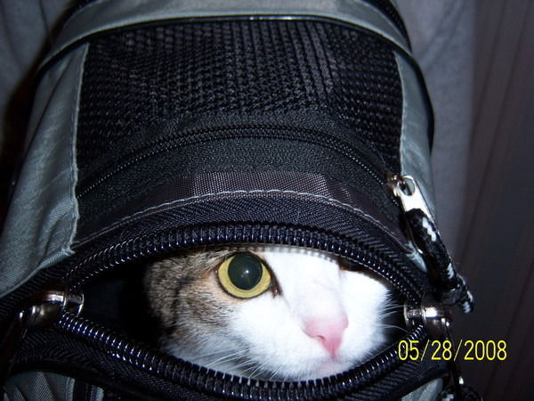 Надежда Карпова