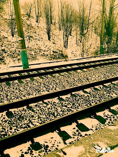 Алина Минигулова