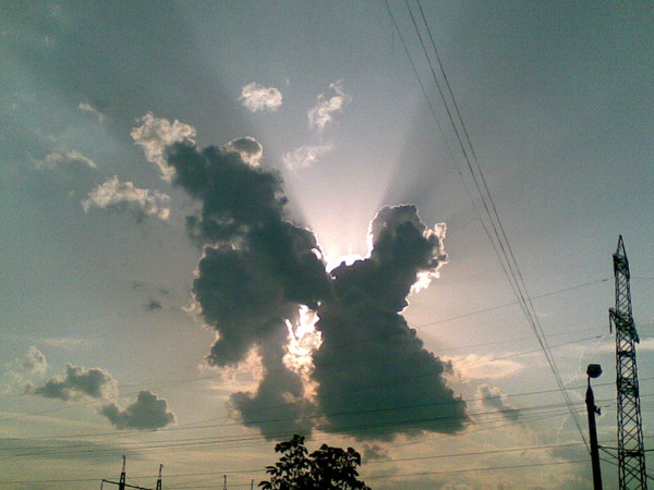 Наталья Кужель