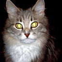 Алла Скворцова
