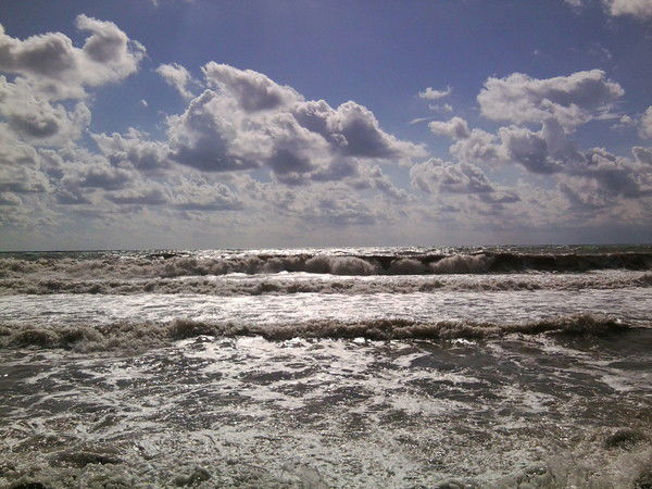 Николай Аннин