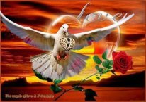 Мария Смирнова(Костина)