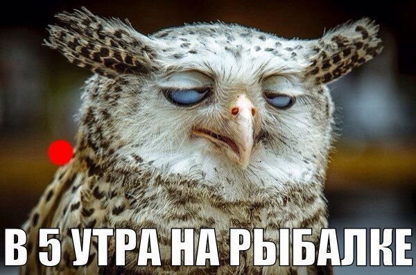 Сергей Сахаутдинов