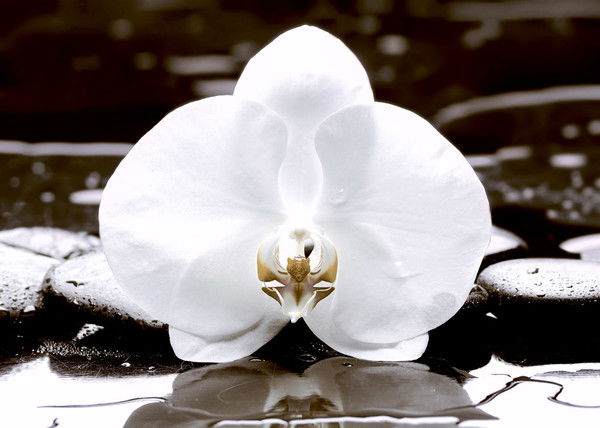 Тд Березакерамика Тд Березакерамика