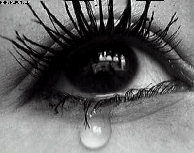 Надежда Кашикова