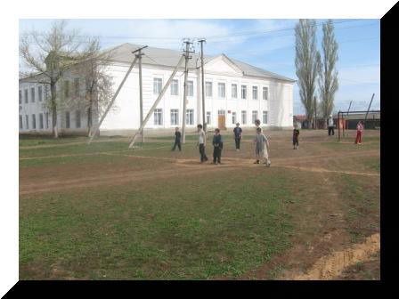 Надежда Шапина