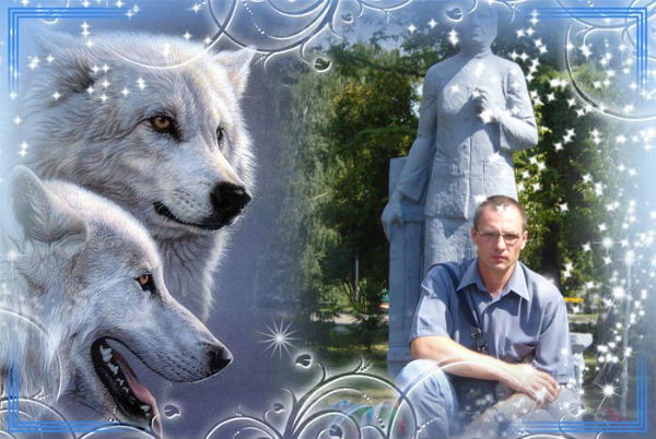 Алексей Бушмарин