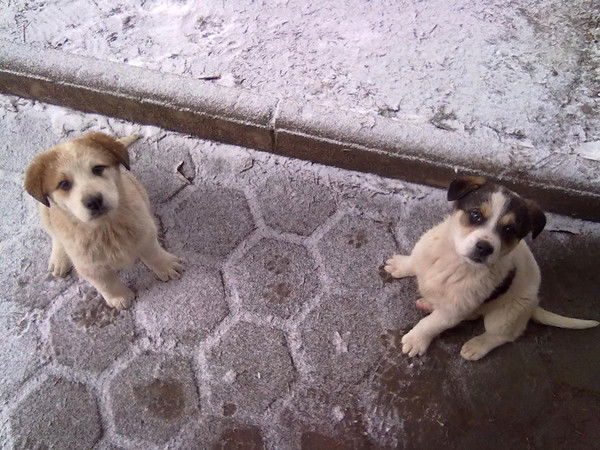 Алексей ?????