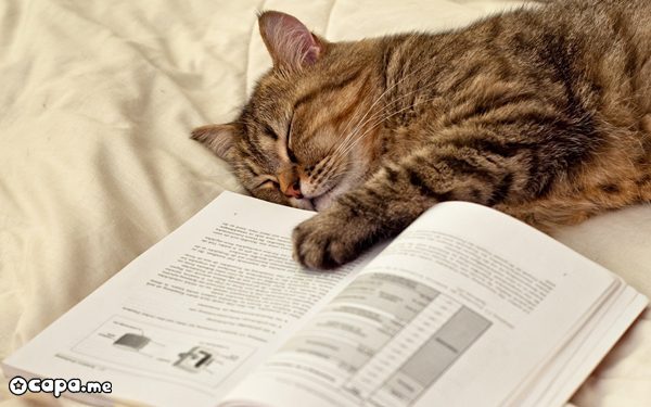 Анатолий Максимович