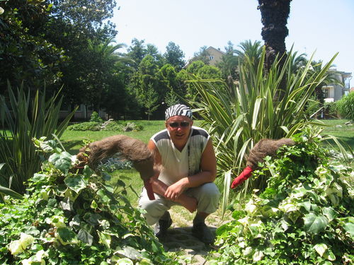 Андрей Иванов