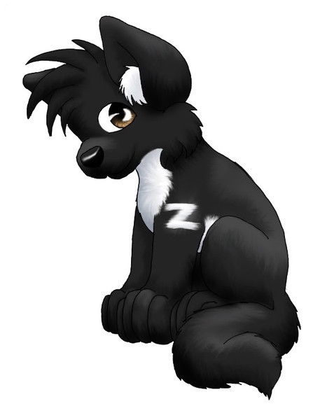 ••• Irina ••• «...irina...»