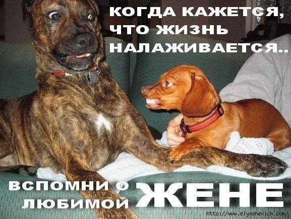 Игорь Тагаев