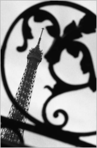 Щербаков Михаил