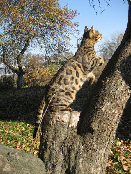 София Иванова