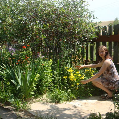 Елена Кашина