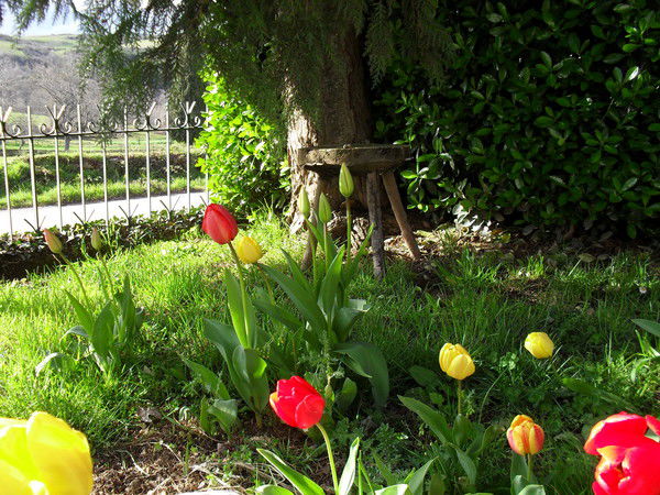 Светлана Вакилова