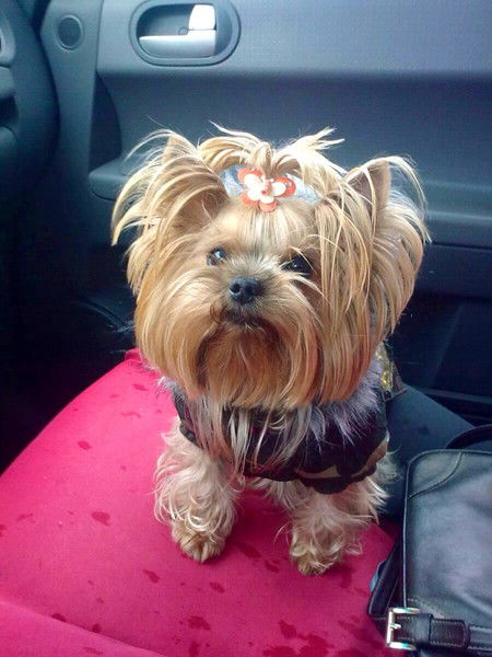 Нина Алешина