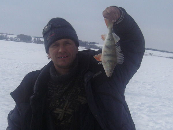 Алексей Анисович