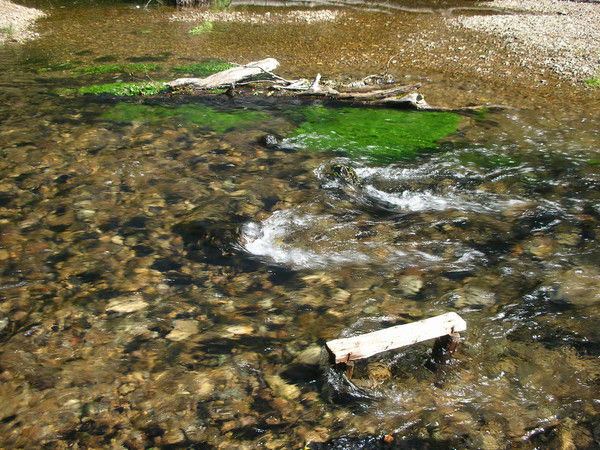 Эдуард Беришев