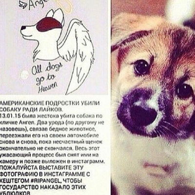 Женя Калашников