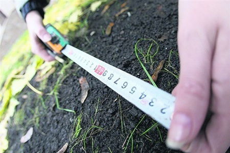 Інспекція Сільського Господарства