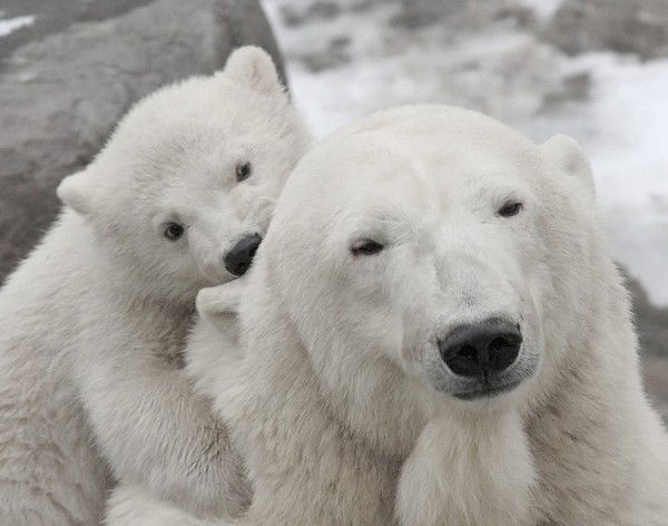 Алёна Кухаренок