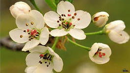 Елена Стукалова